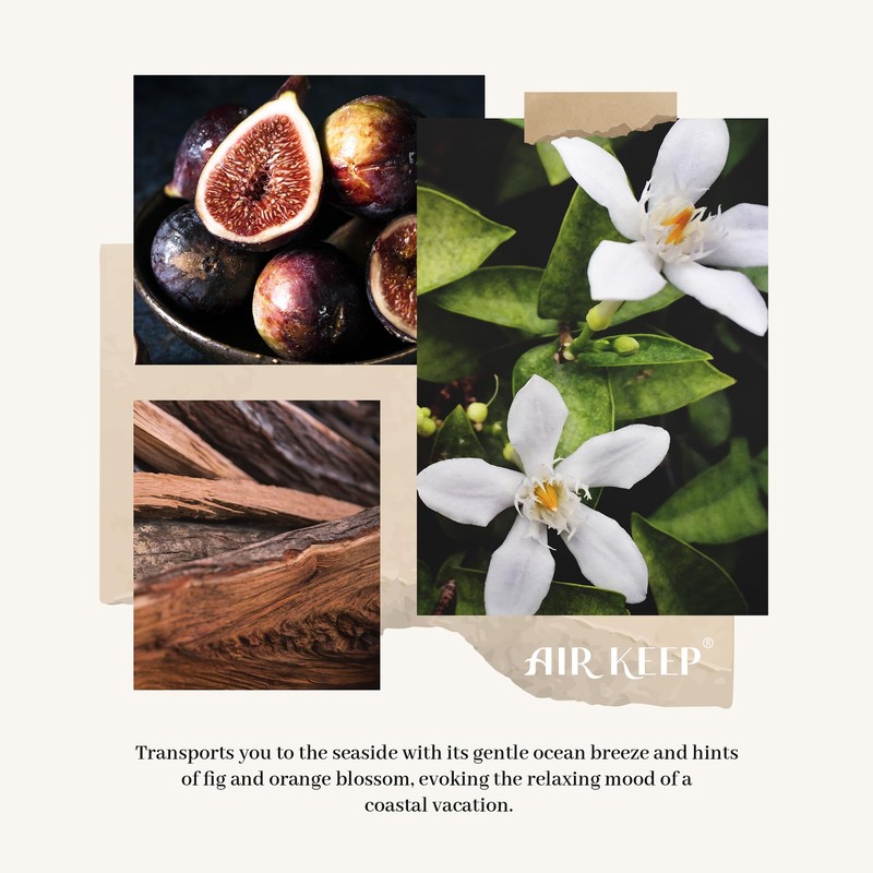 Airkeep Reed Diffuser Set,3.38 fl oz (100 ml) - Ocean