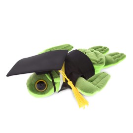 DolliBu Big Eye Sea Turtle Graduation Plush Toy - Super Soft Graduation Stuffed Animal Dress Up with Gown and Cap with Tassel Outfit - Reward Celebration Grad Gift - 6 Inches