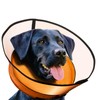 Aschpas® 2 IN 1 Dog Donut Collar with Cone, Inflatable