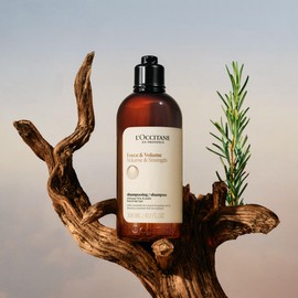 L'Occitane Five Herbs Volume & Strength Shampoo, 10.1 fl oz (300 ml)