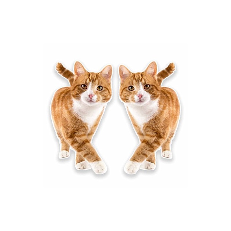 2 x 30cm/300mm Ginger Cat WINDOW CLING STICKER Car Van