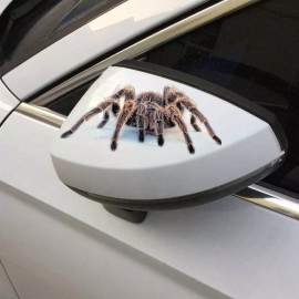 Oracal -3D Tarantula Spider- Car Truck SUV JDM Window Bumper Diecut Vinyl Decal Sticker