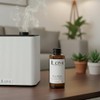 LUM The Rtz-Carlton Hotel | Aroma para Difusor | Floral