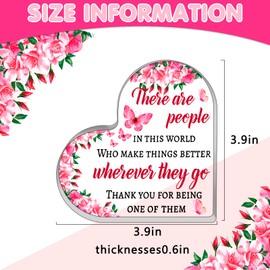 Going Away Gifts for Coworkers Women 2024 Appreciation Thankful Farewell Gift Boss Teacher Nurse Principal Friends Good Luck Finding New Co Worker Better Than Us Job Desk Accessories Acrylic Plaque