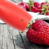 Tabanzhe Strawberry Huller-2PCS Fruit Core Remover Stem Leaf Remover Stainless