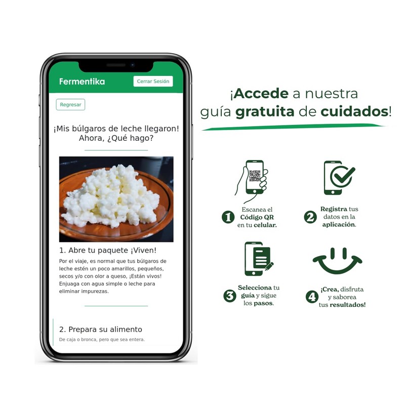 Búlgaros de leche vivos kefir (30 gramos) Incluye ¡App Gratis!