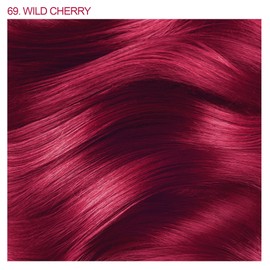 Adore Semi Permanent Hair Color - Vegan and Cruelty-Free Red Hair Dye - 4 Fl Oz - 069 Wild Cherry (Pack of 2)