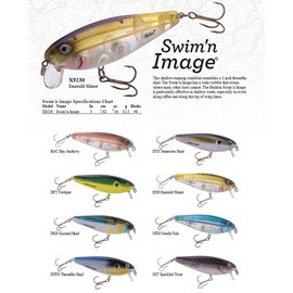 Heddon Swim'N Image Shallow-Running Crankbait Fishing Lure, 3 Inch, 7/16 Ounce, Tennessee Shad
