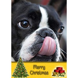 Boston Terrier Dog Christmas Card 'Merry Christmas' - Special Animal Xmas Card for Him Her from Pets Kids