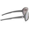 ALPINA Unisex Bonfire Sunglasses, Midnight Grey Matt, One Size