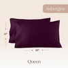 Whisper Organics Organic Cotton Flannel Pillow Case Set (Queen, Aubergine)