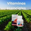Vitaminas En Tabletas Vitaminas Para Gallo Ascorbol Plus