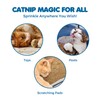 SunGrow Catnip for Cats, for Scratching Posts, Walls, or Pads,