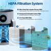 HP072 H13 True Filter Replacement: for Shark HP070 HP071BRN HP072QGD
