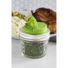 Jarware Spice Lid for Regular Mouth Mason Jars, Green
