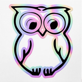 Holographic Decal Stickers Of Smart Owl Premium Waterproof Vinyl Decal Stickers For Laptop Phone Accessory Helmet Car Window Mug Tuber Cup Door Wall Decoration ANDVER3512291HO110422