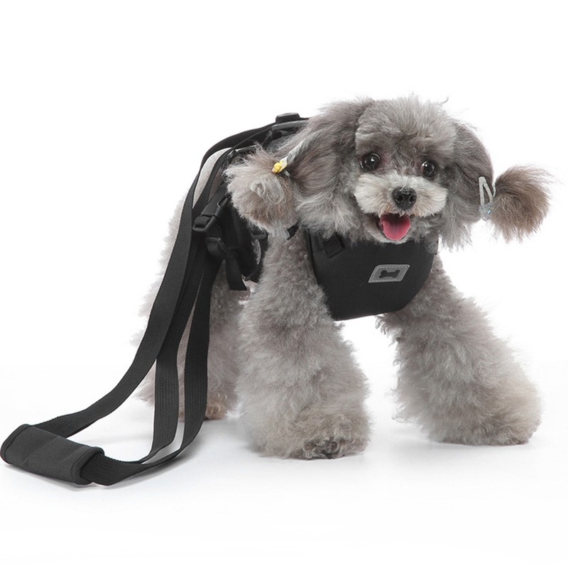 Cat Vest Harnesses Leash Adjustable Breathable Stylish Multifunctional Pet Walking
