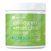 360 Nutrition Colageno Matcha 8oz Polvo