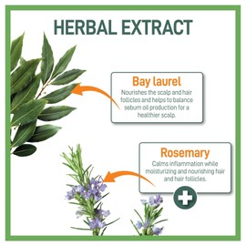 Moraz Herbal Shampoo - Dry Hair - 17 oz