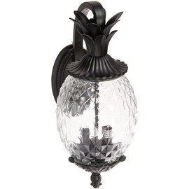 Acclaim 7502BK Lanai Collection 2-Light Wall Mount Outdoor Light Fixture, Matte Black