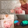 Cloud b Star Projector Nightlight with White Noise Soothing Sounds
