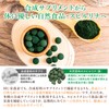 スピルリナ普及会 スピルリナ100% 1500粒×200mg お試しサイズ 約37日分