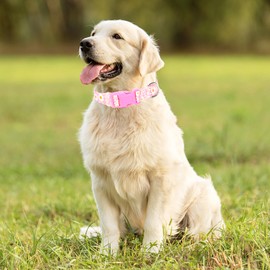 Girl Dog Collars for Large Dogs,Female Dog Collars with Pink Daisy Flowers, Adjustable Comfy Soft Pet Collar with Safety Buckle for Small Medium Large Dogs(Daisy L)