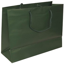 JAM Paper Matte Horizontal Bags - Large - 13 x 10 x 5 - Hunter Green - Sold Individually