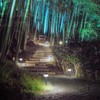 Ensenior 6-Pack Solar Lights Outdoor, Auto ON/Off 6500K LED Solar