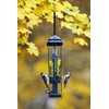 Squirrel Buster Suet Squirrel-Proof Suet Bird Feeder with Two Suet