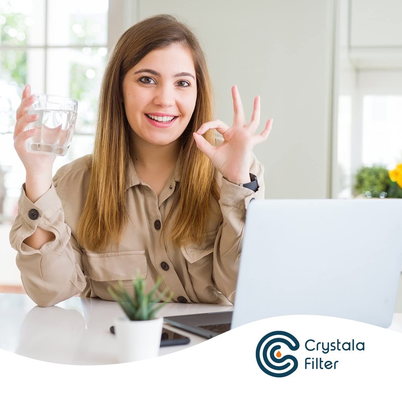 Crystala Filters XWF Replacement for GE XWF Refrigerator Water Filter