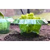 Snail Protection Ring - Effective Protection of Your Young Plants