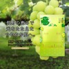 Rururun Face Mask Pack, Nagano Yamanashi Lulun (Shine Muscat Scent),
