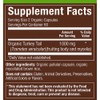 plnt Organic Turkey Tail - Mushroom Herbal Formula for Immune