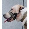 Dog Muzzle,Nylon Adjustable Anti-Bite Barking and Chewing Dog Muzzle with