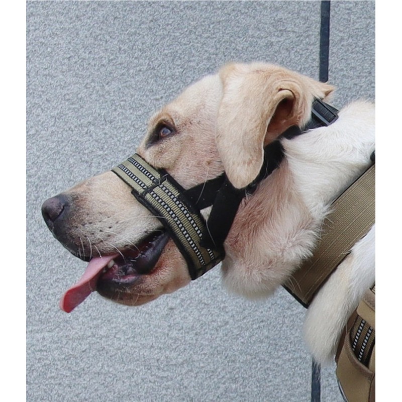 Dog Muzzle,Nylon Adjustable Anti-Bite Barking and Chewing Dog Muzzle with