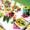 Boland 52437 - Toucan Party Plates - Pack of 10,