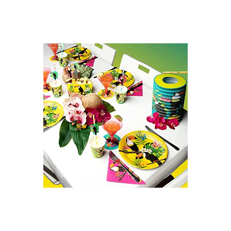 Boland 52437 - Toucan Party Plates - Pack of 10,