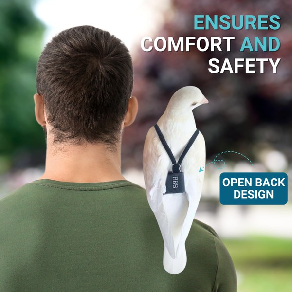 Bev's Birds Boutique - Regular Flyper, Classy Bird Size 7