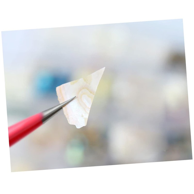 LALAFINA 2sets Natural Shell Flake Nail Art Decor Set High