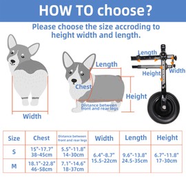Wheelchair Small Dogs for Back Legs, Adjustable Dog Wheelchair Recover Mobility Aid for Disabled or Injured Small Dogs, Dog Leg Brace and Hip Support for French Bulldog/Corgi/Yorkshire, Medium