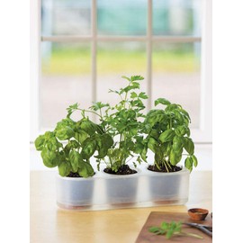 Boskke Transparent Triple Till Planter, for Indoor Garden or Outdoor Use, Planters for Kitchen Windowsill - H 9.3 x L 35.5X W 11.5 cm
