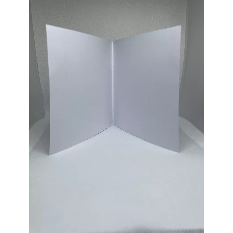 Tomb Raider II PS1 Replacement Case - NO DISC -