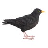 Pflanzen Kölle Iron Blackbird, Black, Approx. 17 x 6 x