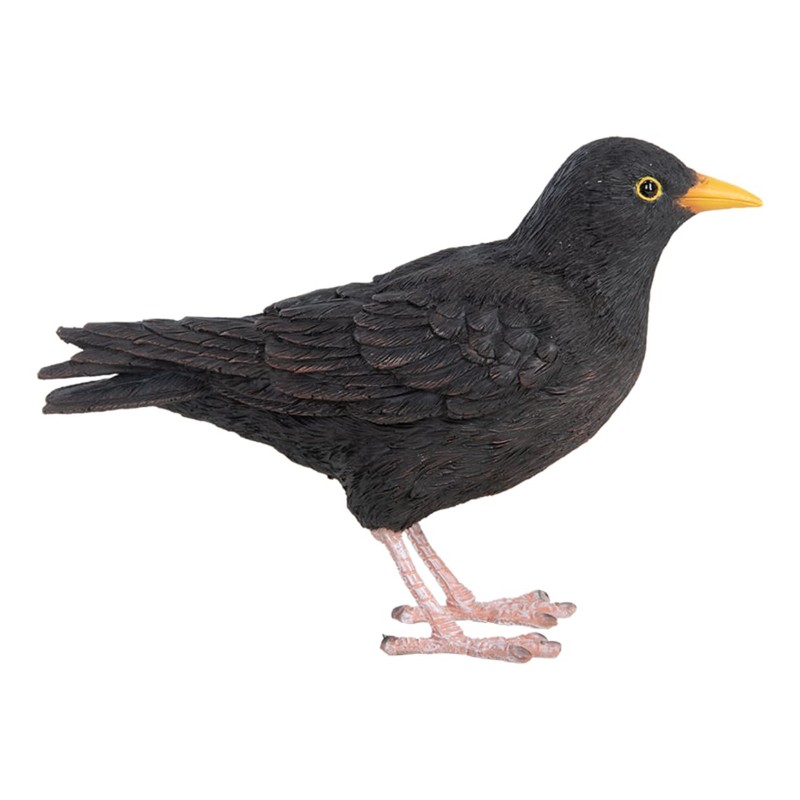 Pflanzen Kölle Iron Blackbird, Black, Approx. 17 x 6 x