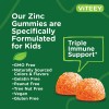 Viteey Zinc Para Nios Gomitas 10 Mg Con C Y