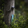 Japanese Wind Chime Cast-Iron Outdoor Ornament for Garden, Patio &