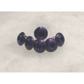 DH Translucent Purple Torx Screws Set For Spyderco Sage 1 Sage 2 Sage 5 FRN LW 6pcs