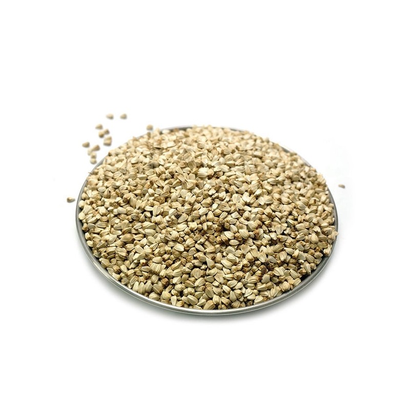 Chamdoori safflower seeds 300g (domestic) / 참두리 홍화씨 300g (국내산)