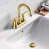 Bathroom Sink Drain with Overflow with Hair Catcher Anti-Clog Sink